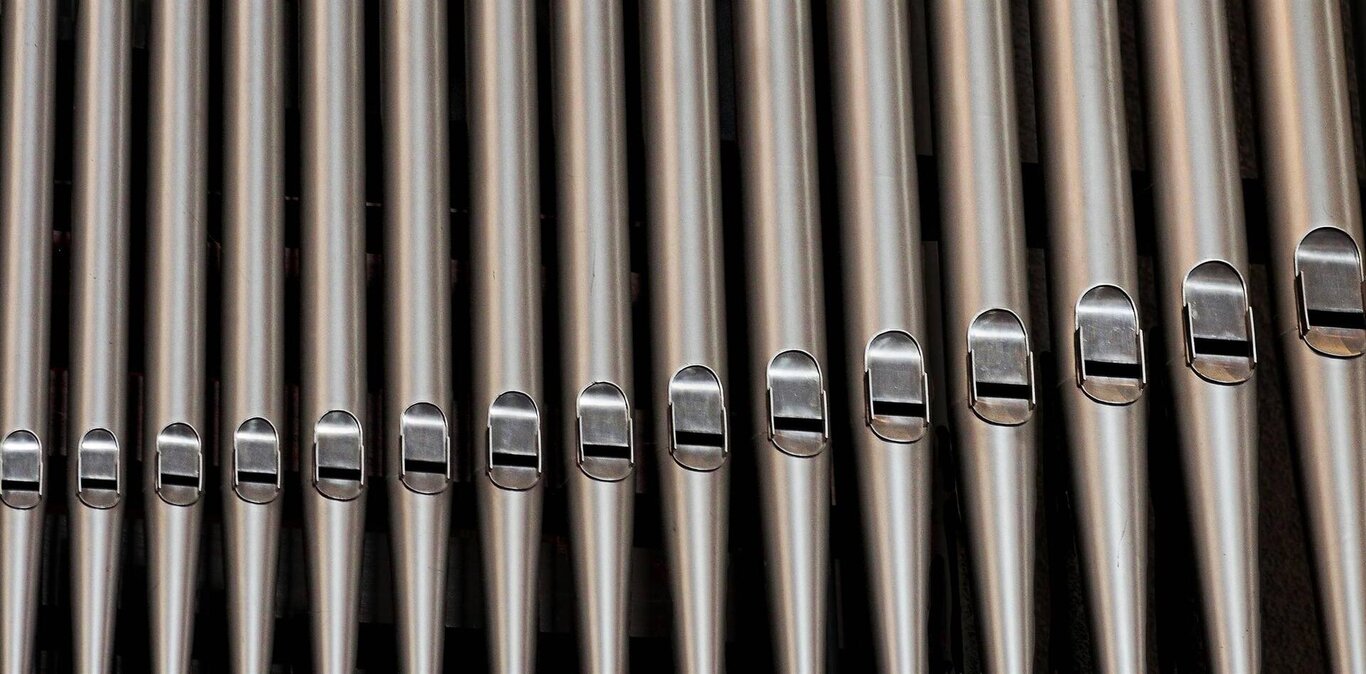 Organi