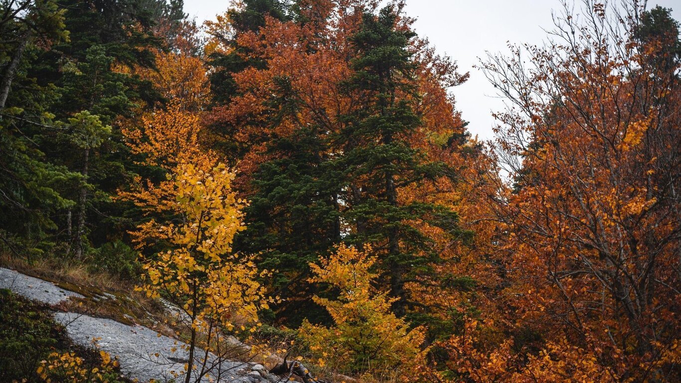 Autunno