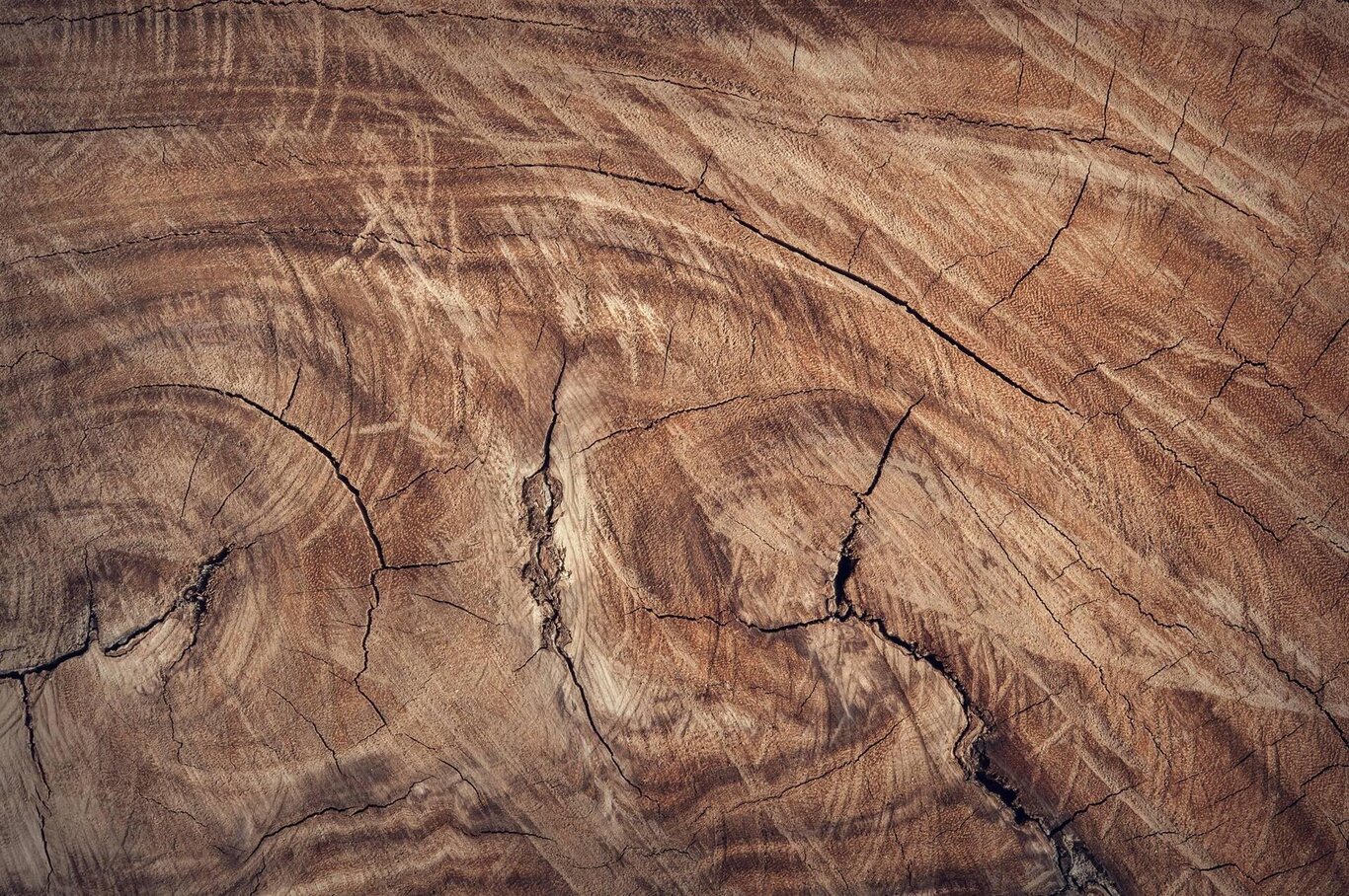 Paroli d len - Parole di legno