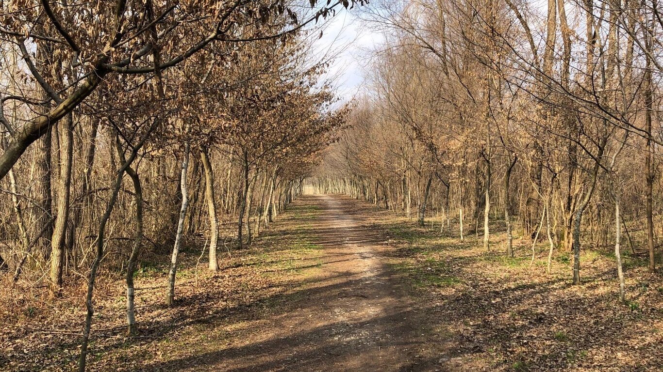 Percorso delle antiche rogge