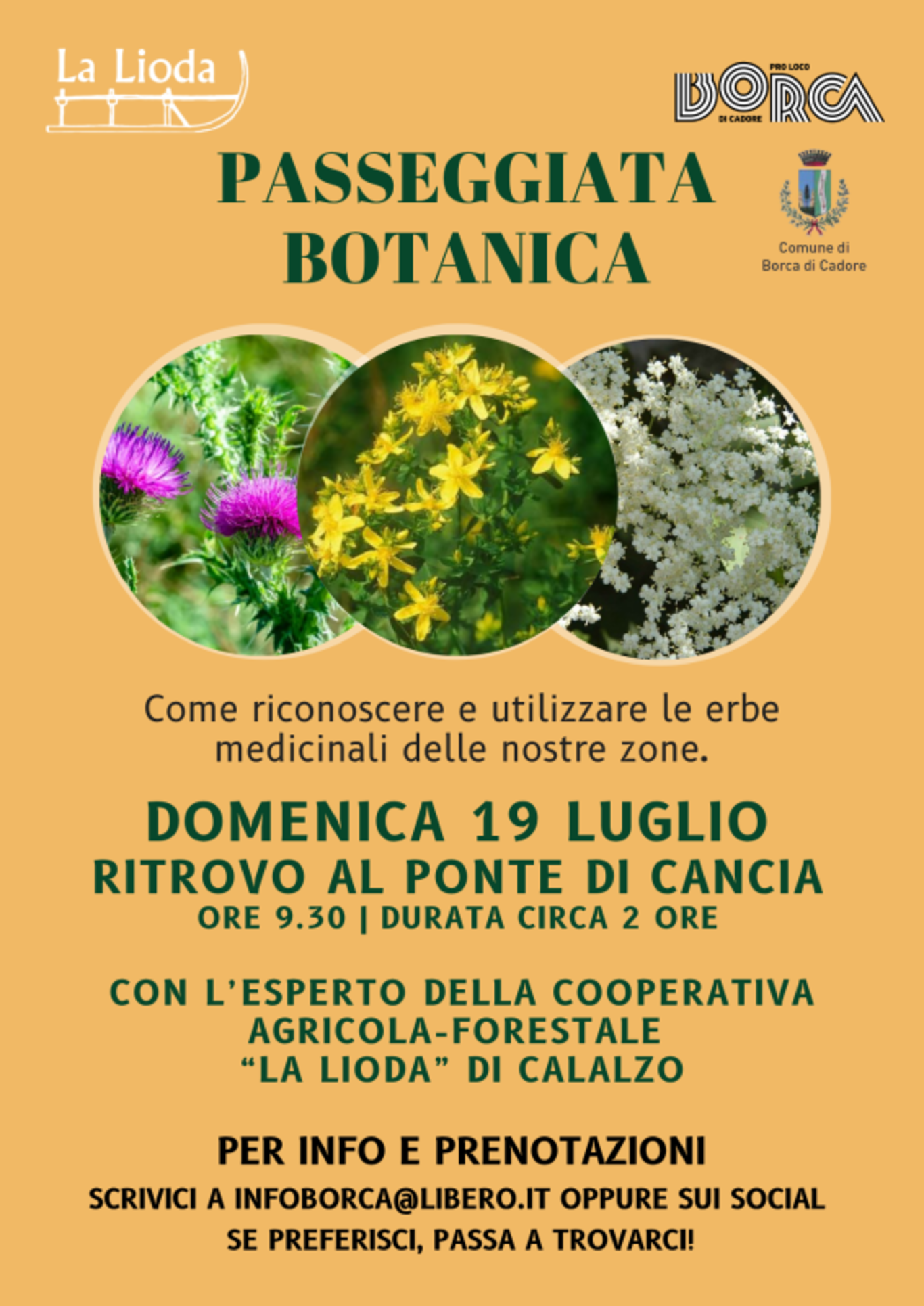 Passeggiata botanica