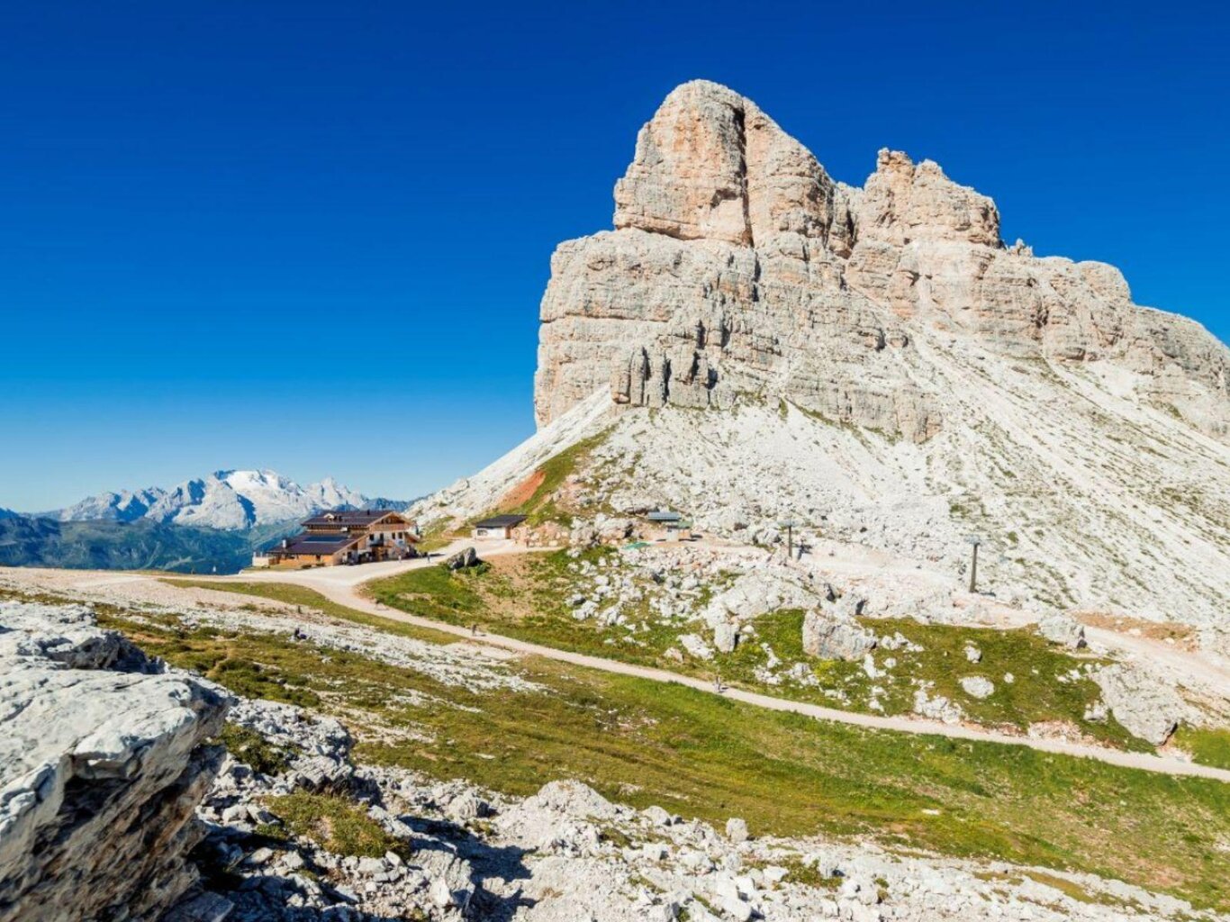 Passeggiata botanica con pranzo gourmet