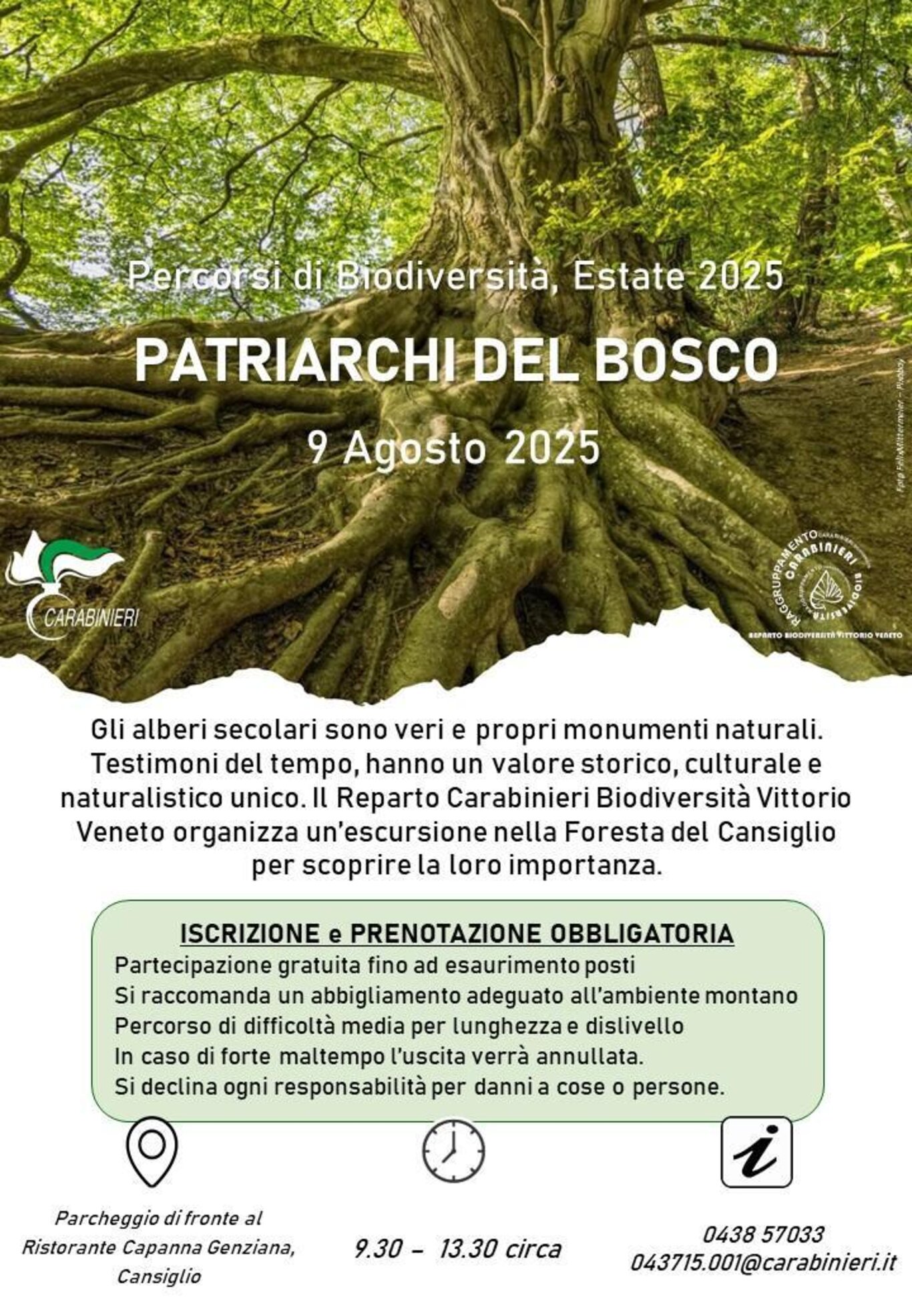 Locandina Locandina