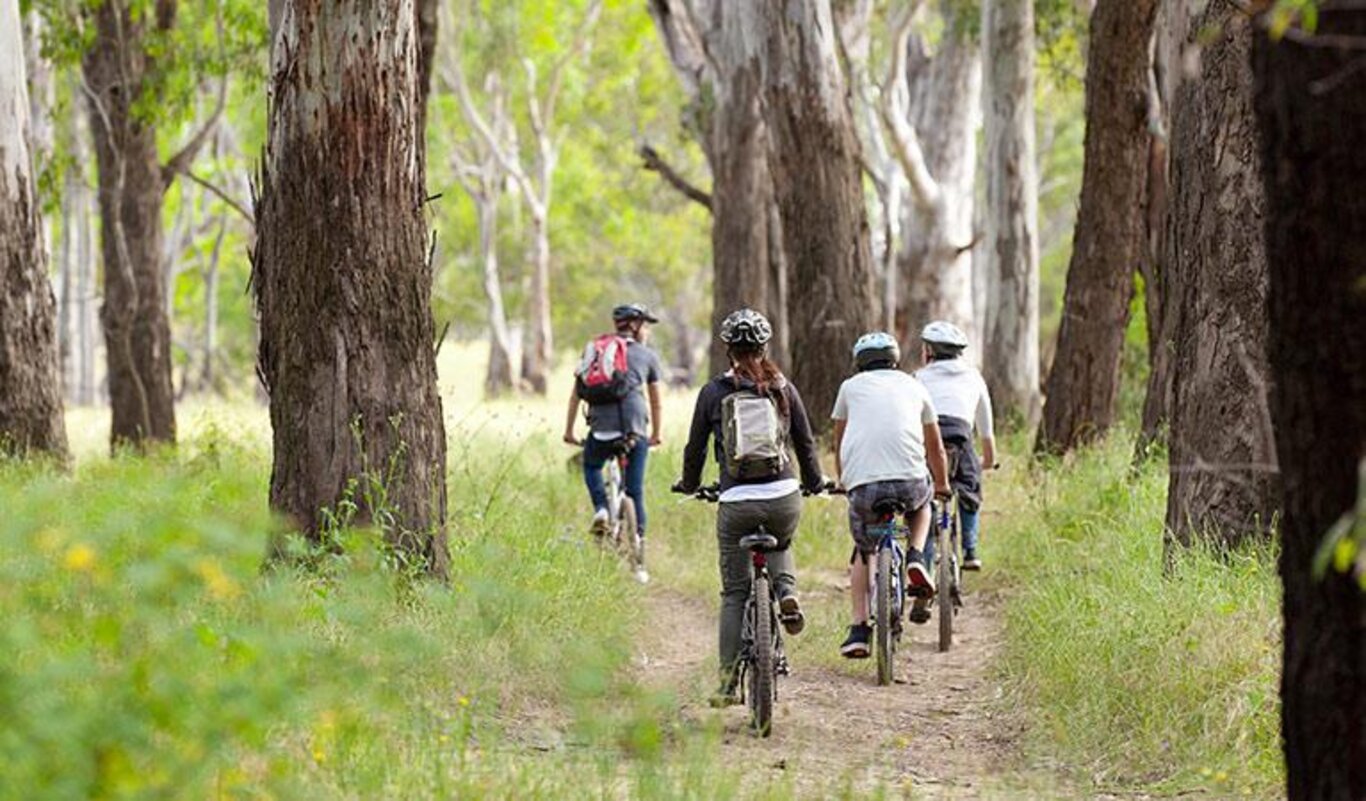 Pedalata cicloturistica