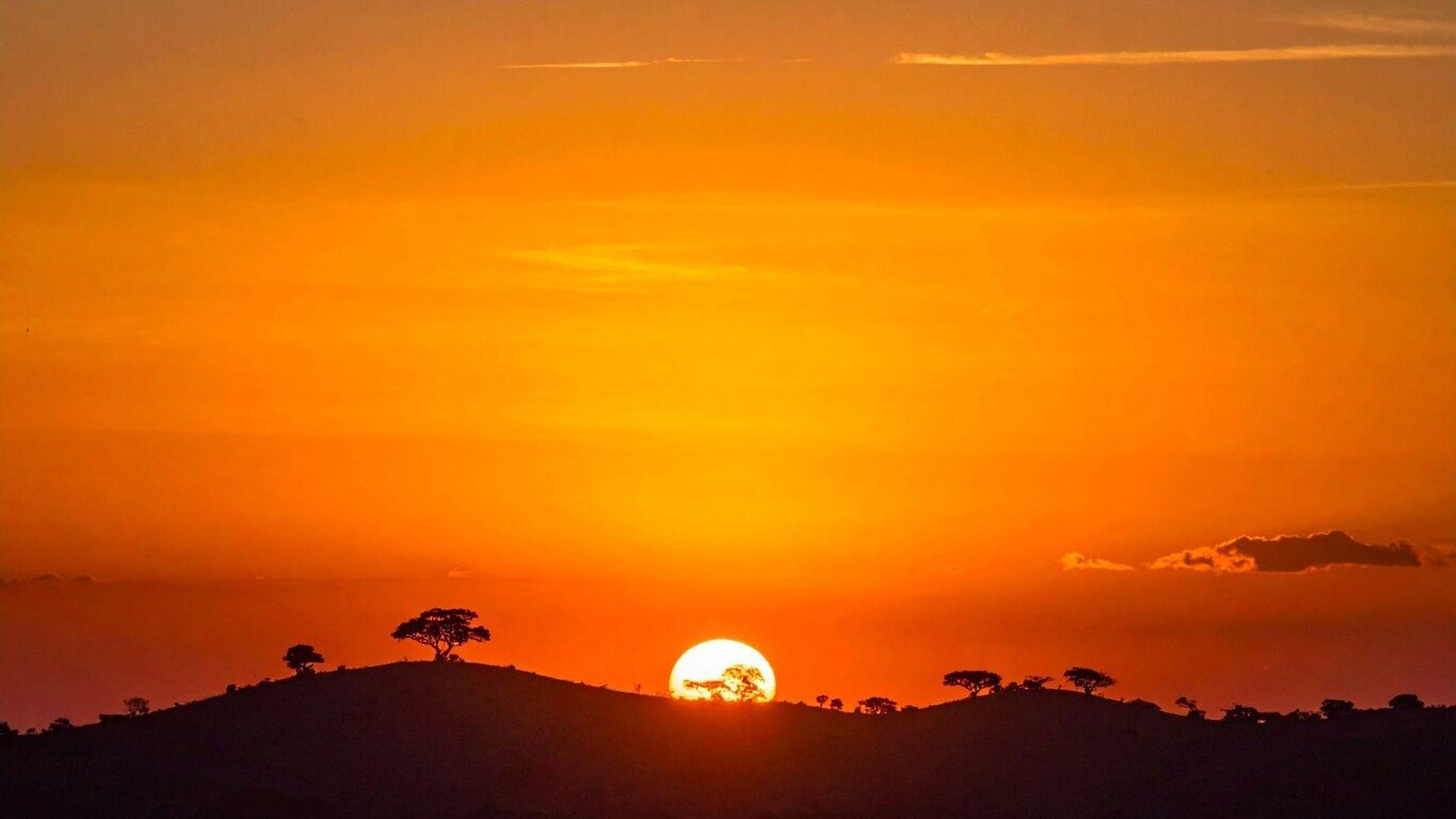 Pedali e altre storie