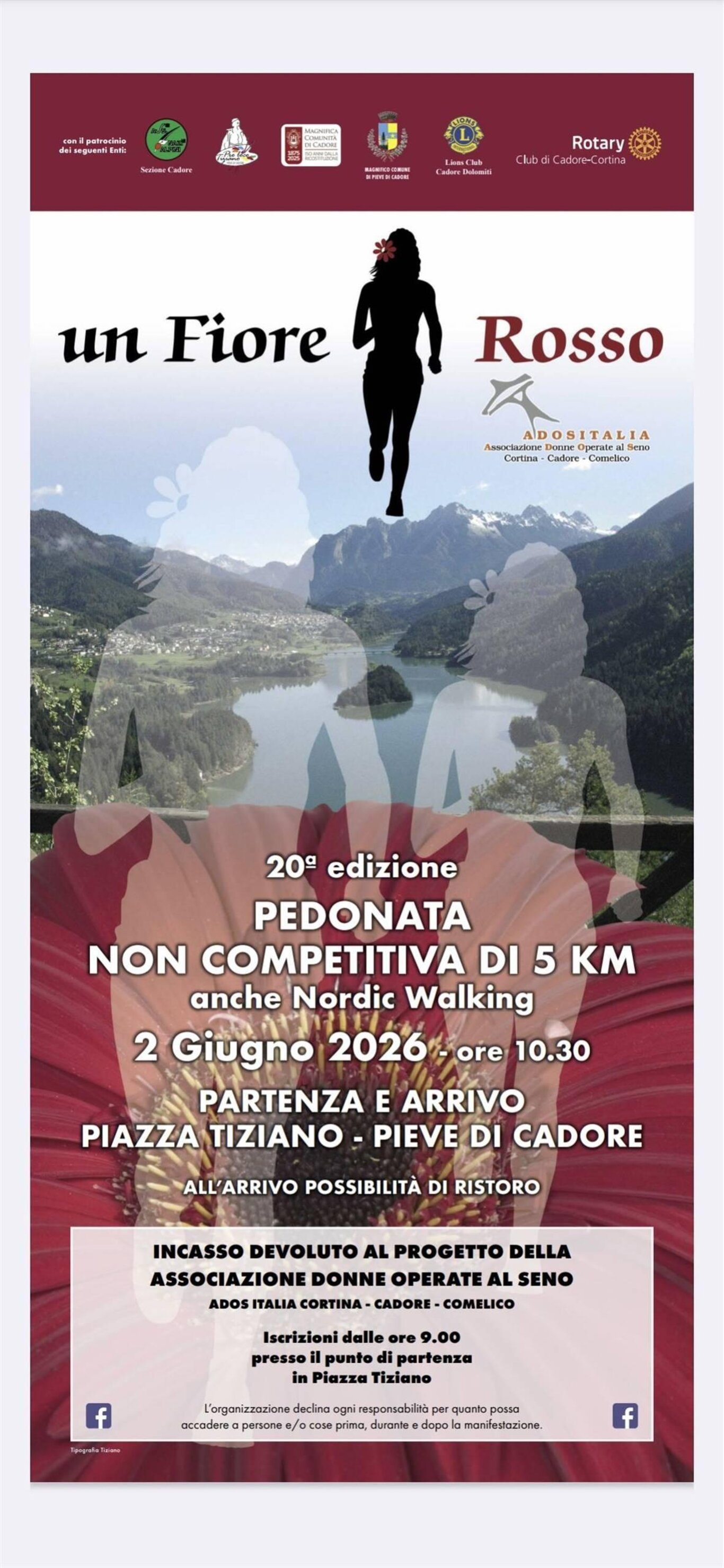 Pedonata "Un fiore rosso"