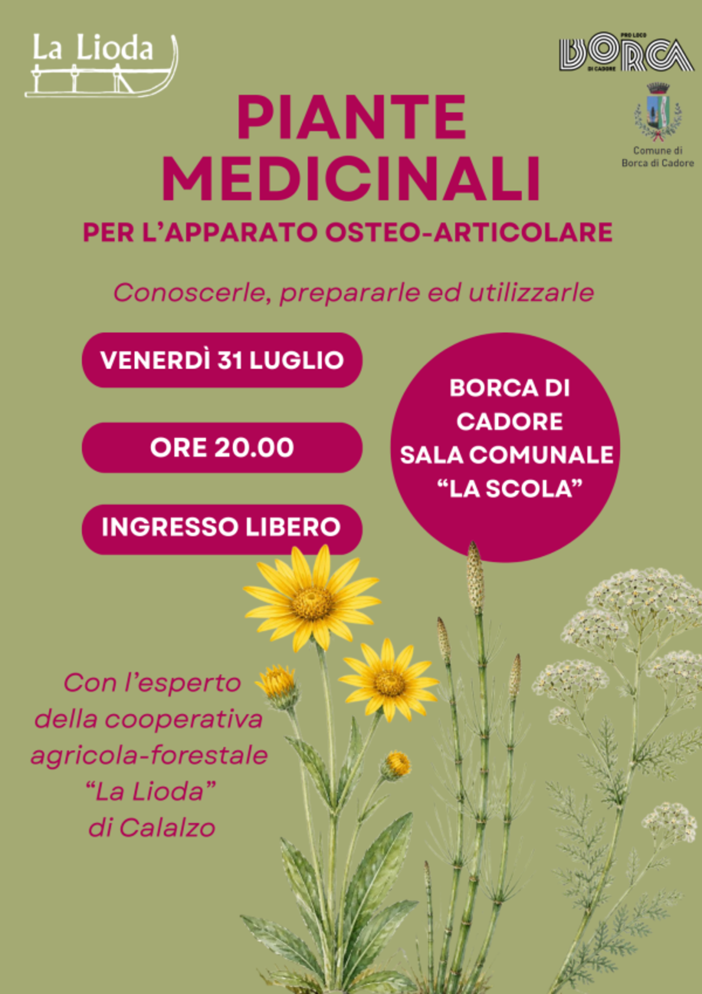Piante medicinali