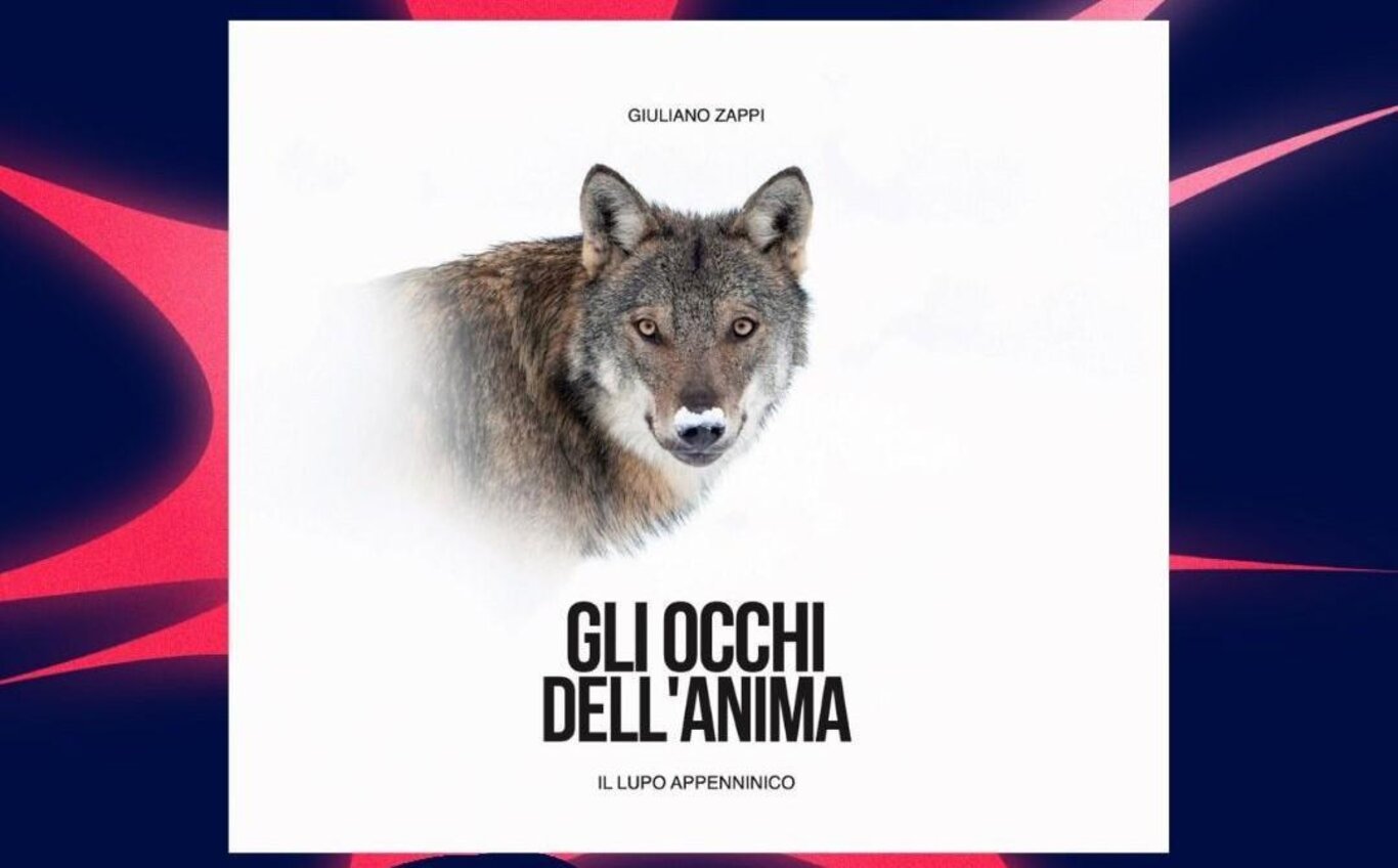 Presentazione del libro "Gli occhi dell'anima"