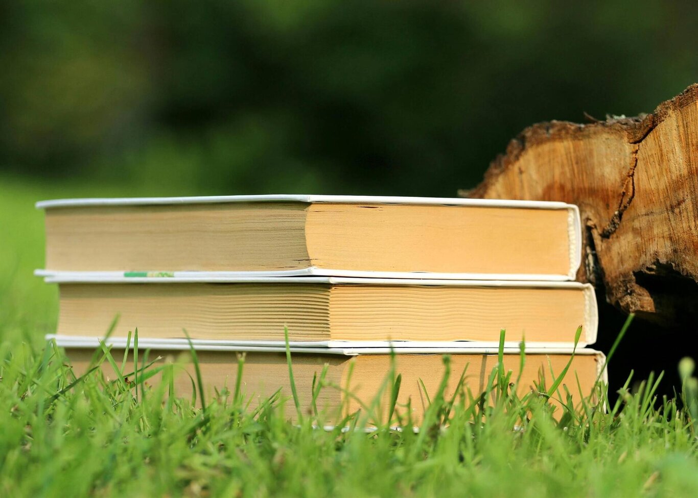 Presentazione del libro "l'alba dentro l'imbrunire"
