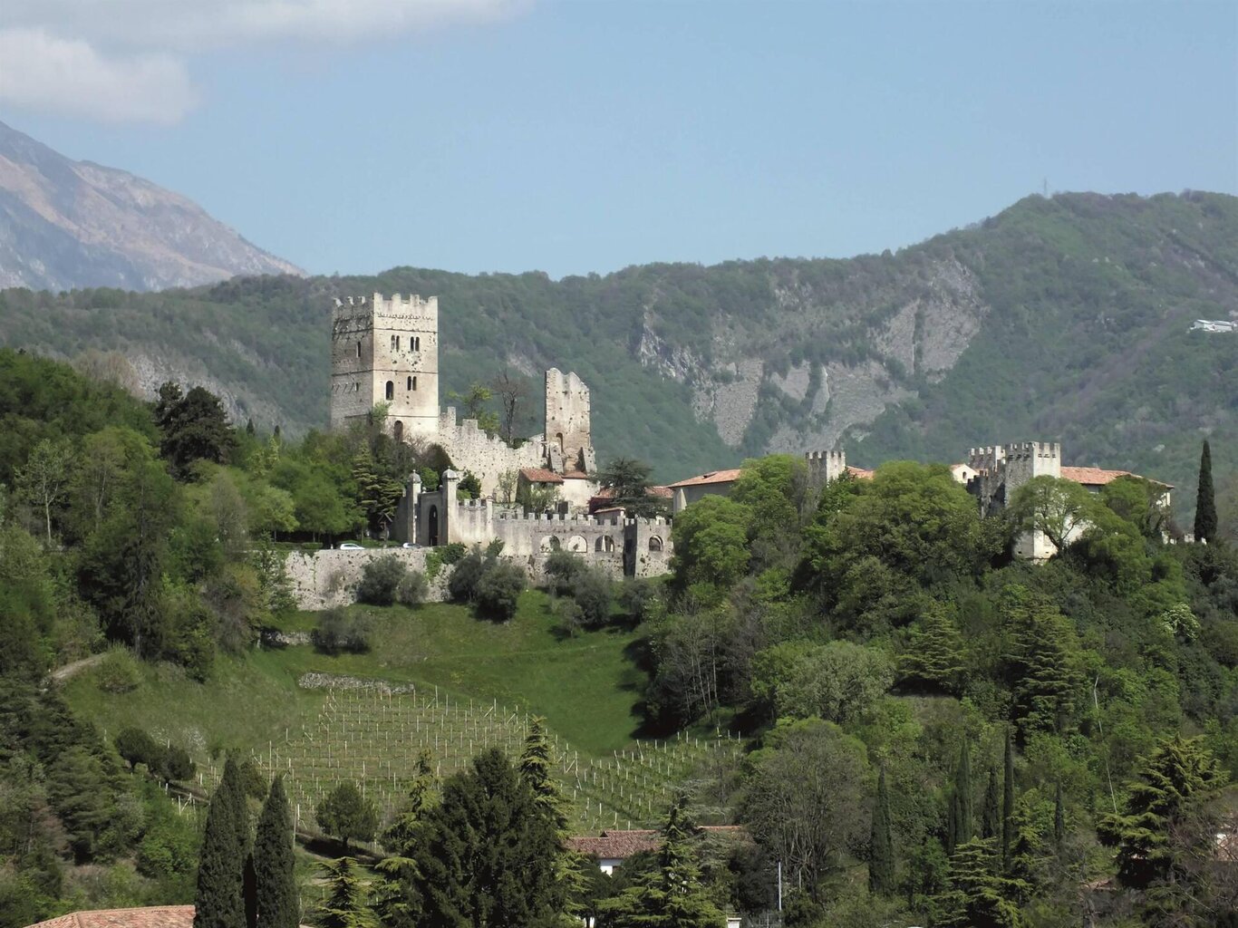 Il castello di San Martino