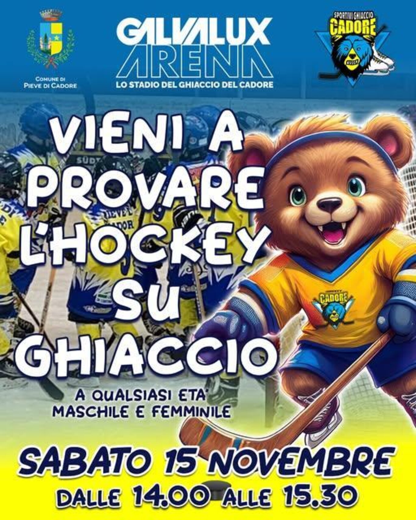 provare hockey