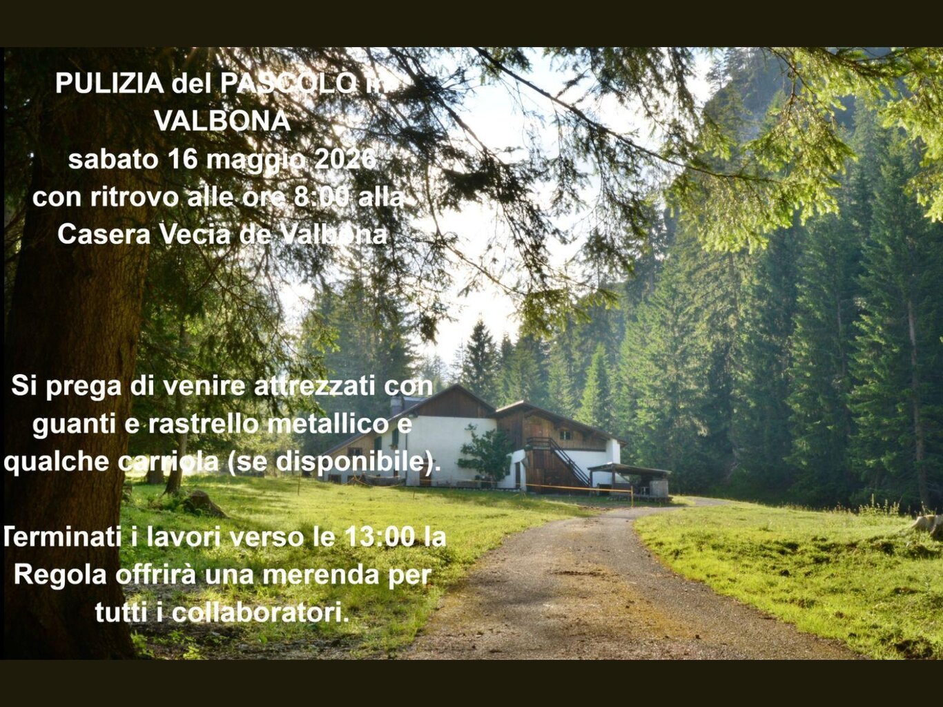Pulizia del Pascolo