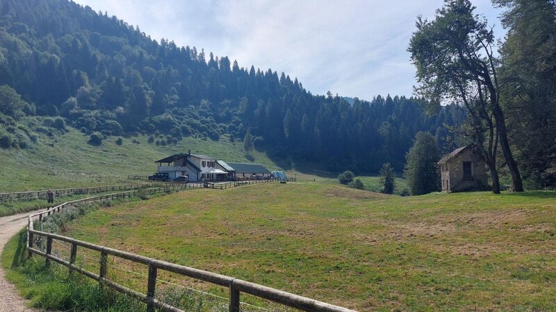 Quando i sassi parlano di vita