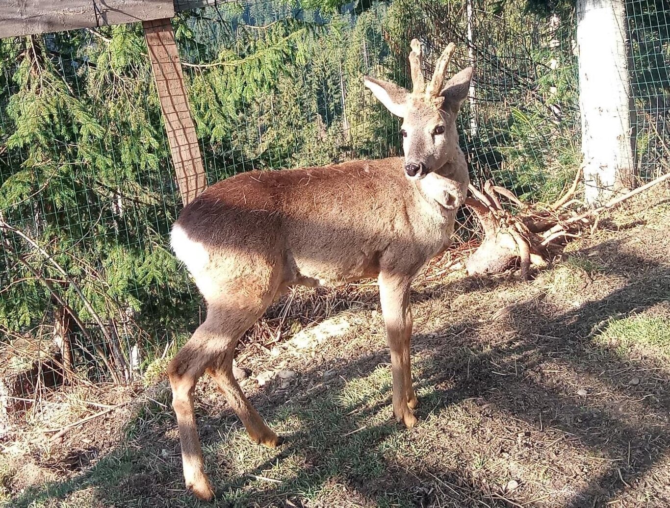 Ranch Grande Nord