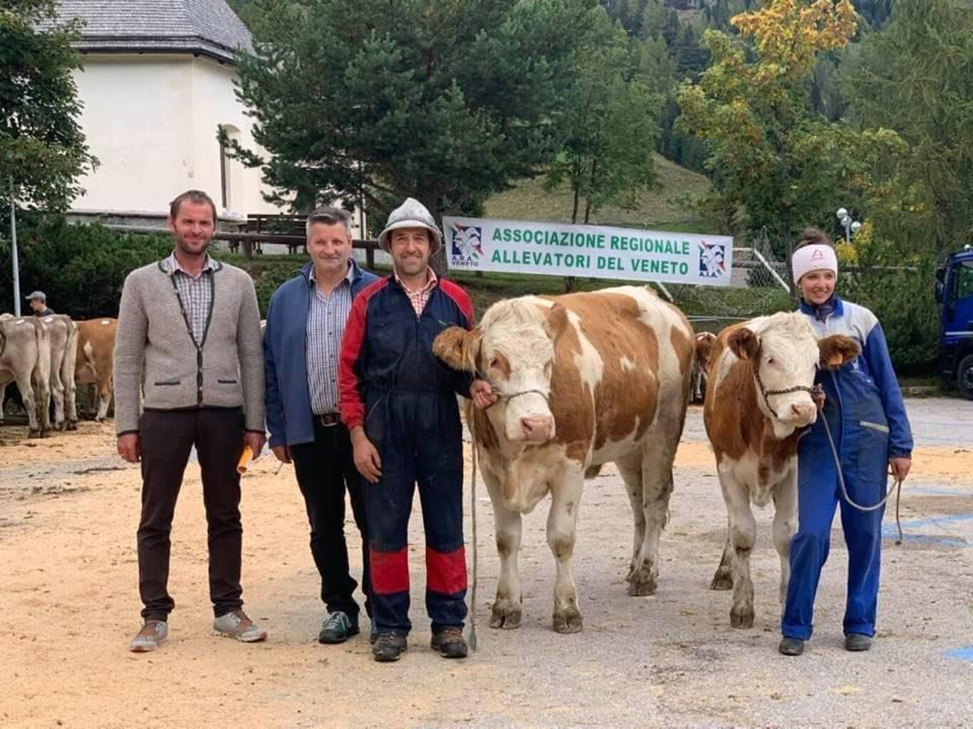 Rassegna della Bruna Alpina & Ladina ad Arabba