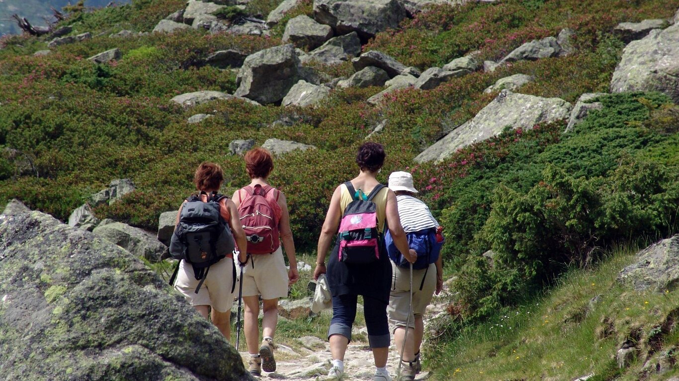 Rocce e acque, sculture in Val Medon