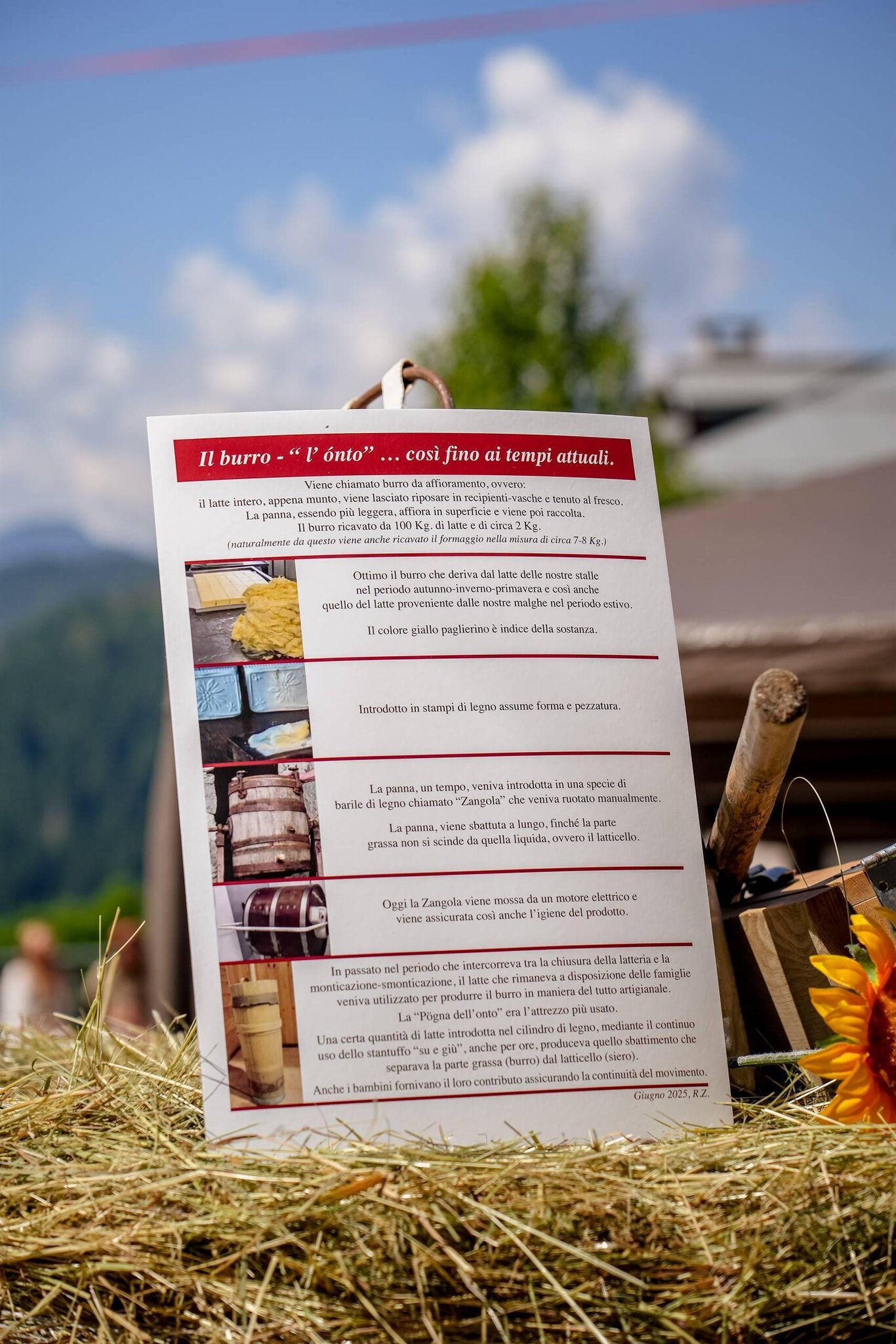 Sagra del paese - Punf in festa