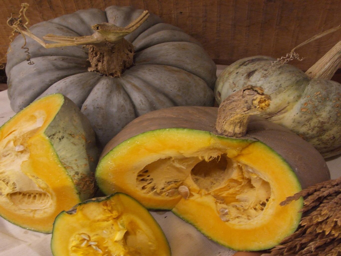 Sagra della Zucca Santa Bellunese