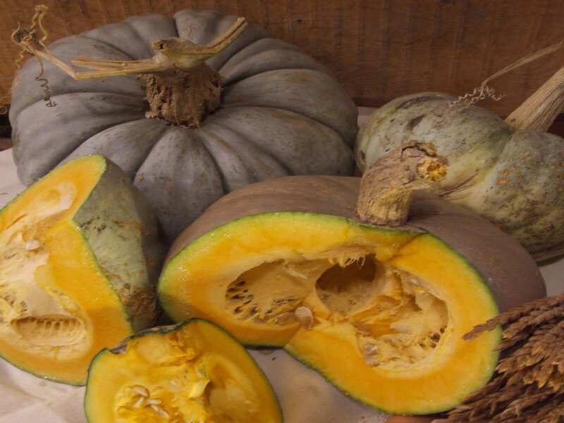 Sagra della Zucca Santa Bellunese