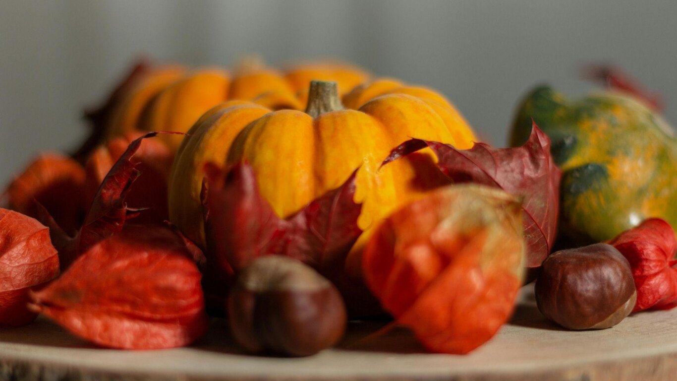 Immagine autunnale castagne e zucca