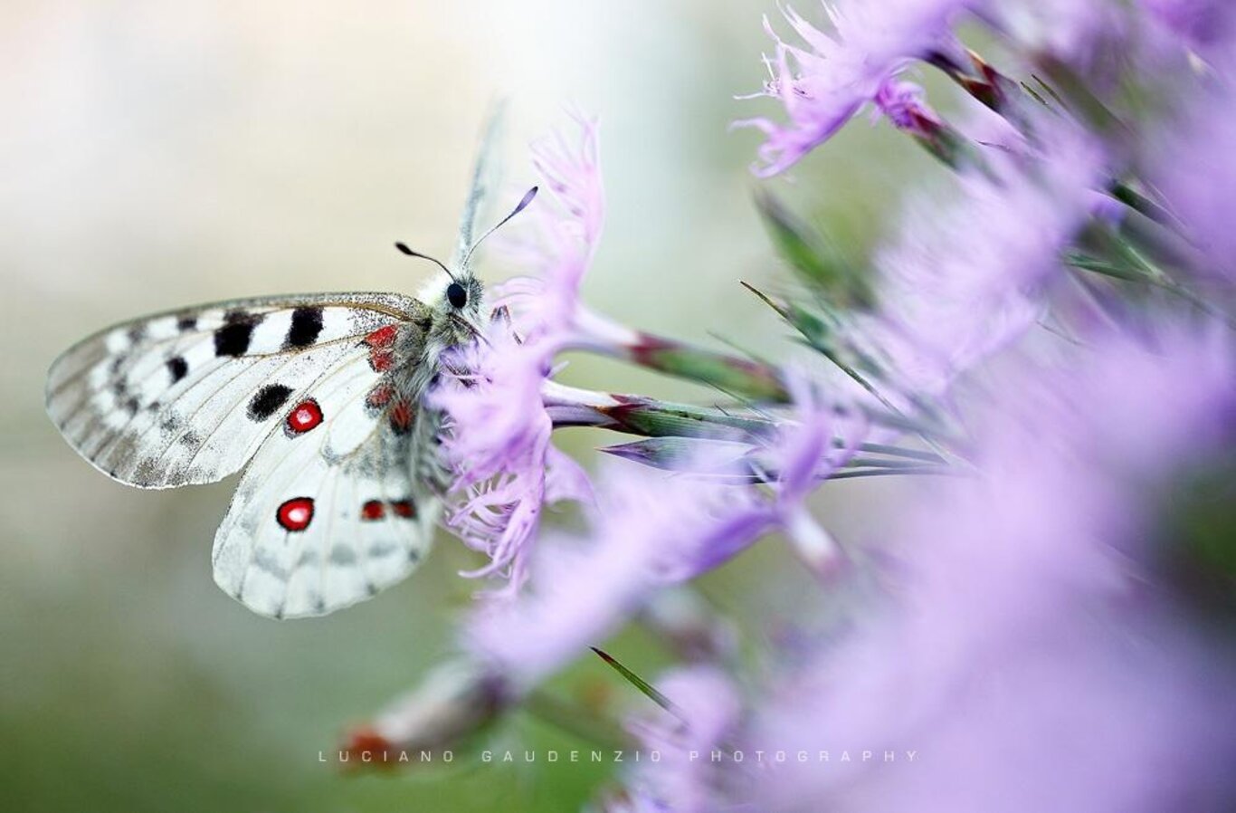 Scenari lugohi e volti della natura