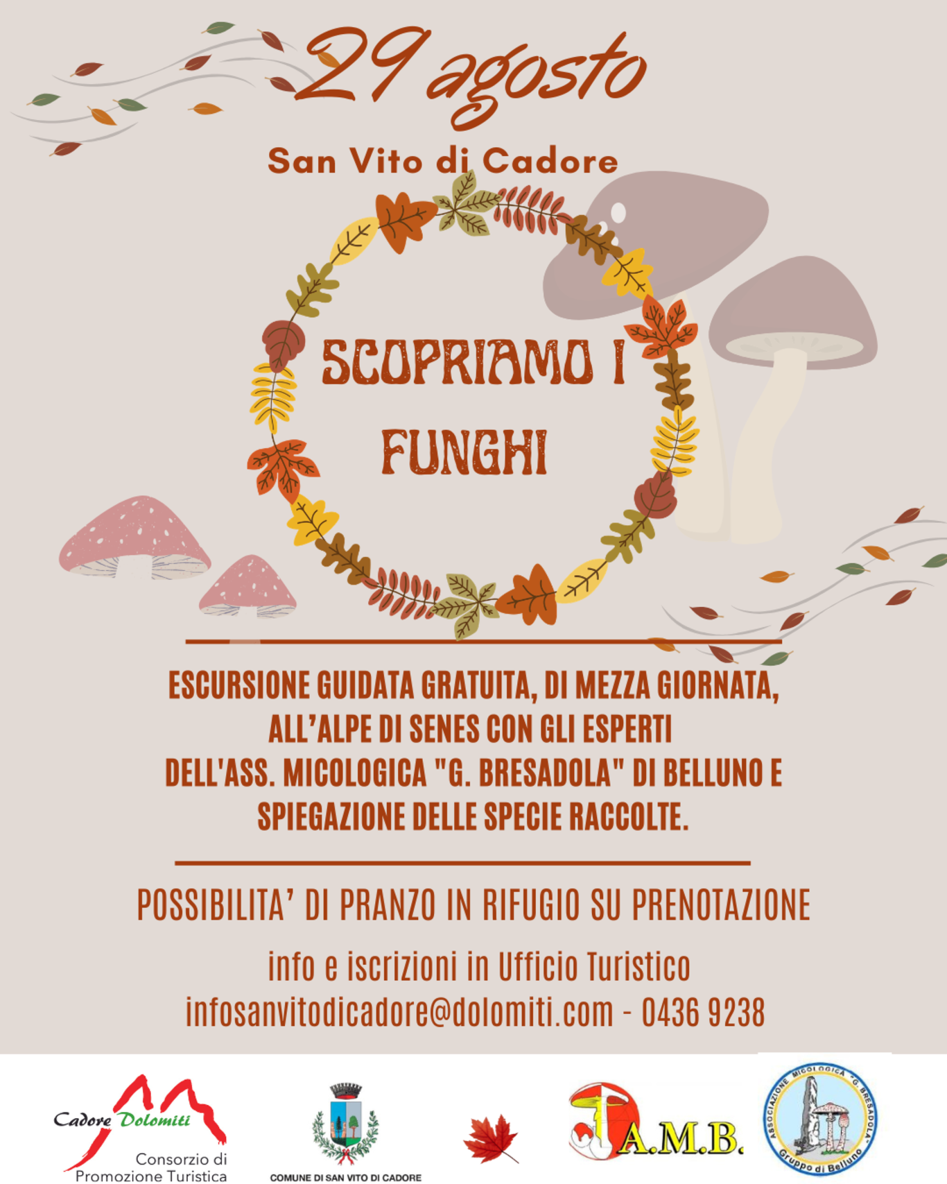 Scopriamo i funghi