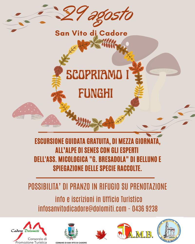 Scopriamo i funghi