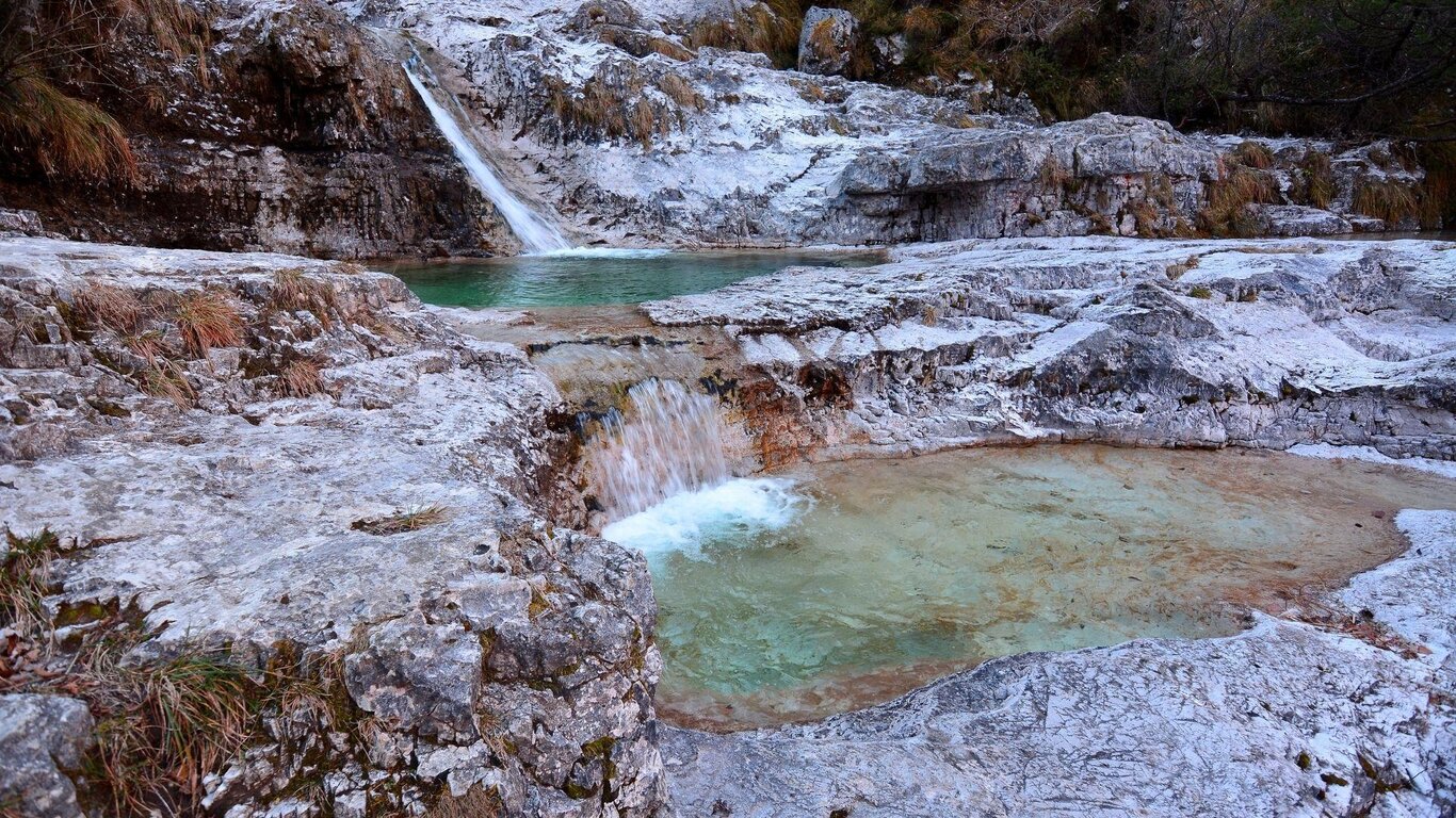 Selvaggio Blu Selvaggio Blu