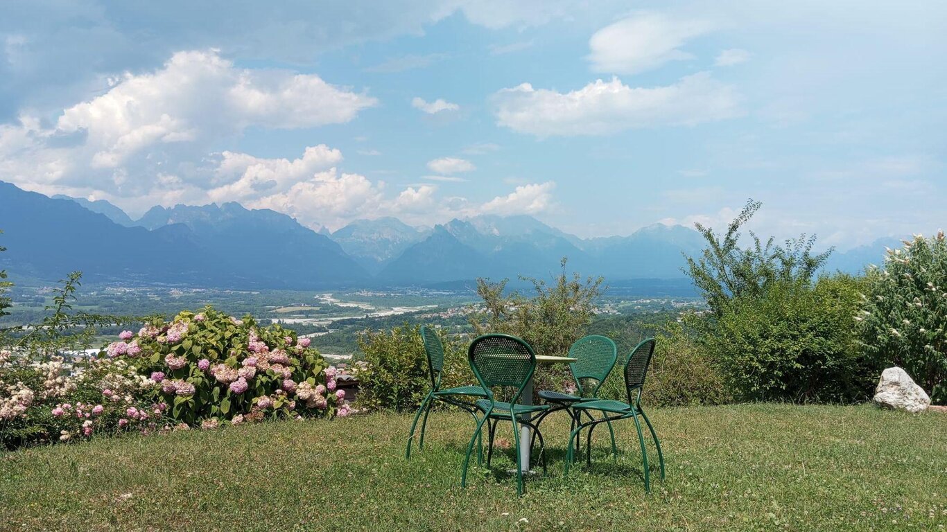 Settimana verde