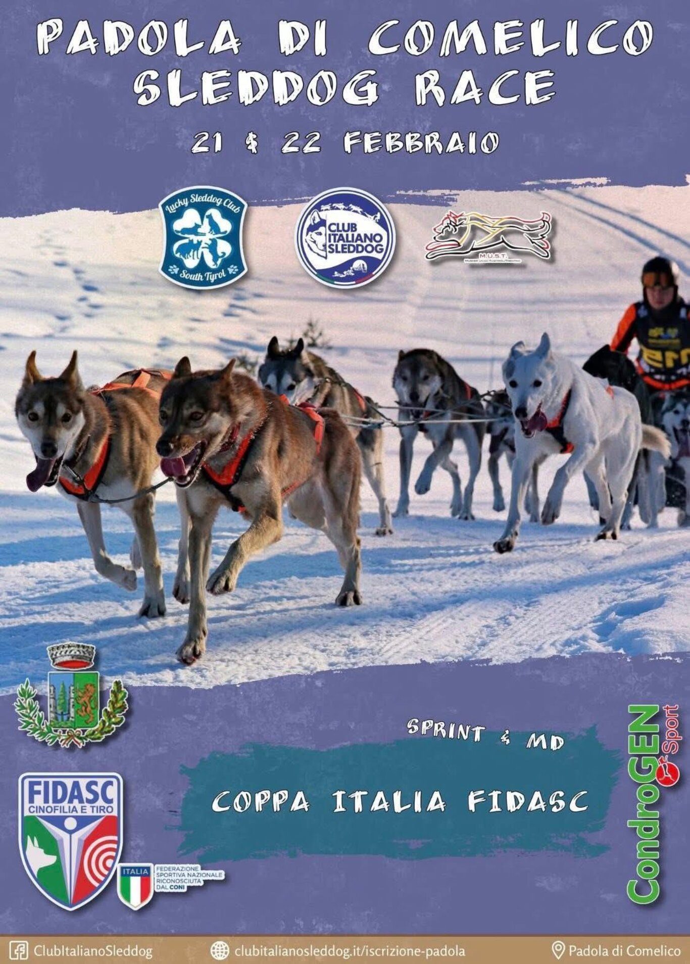 Sleddog race a Padola