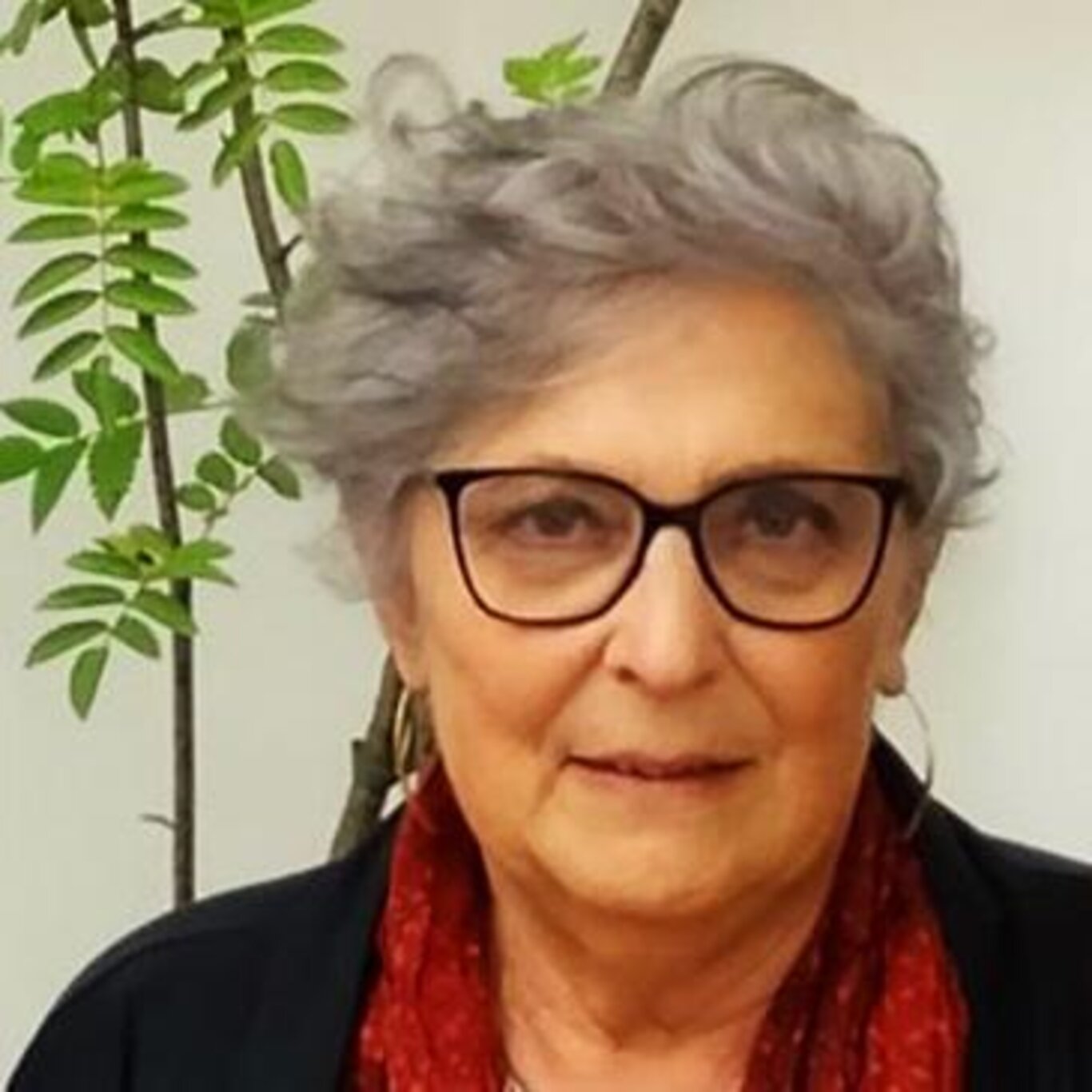 Storie di Massimina – I quaderni di una ragazza che voleva diventare scrittrice