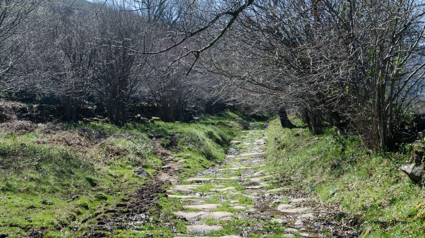 Strade romane, vie di passaggio, alberi e storie a Polpet