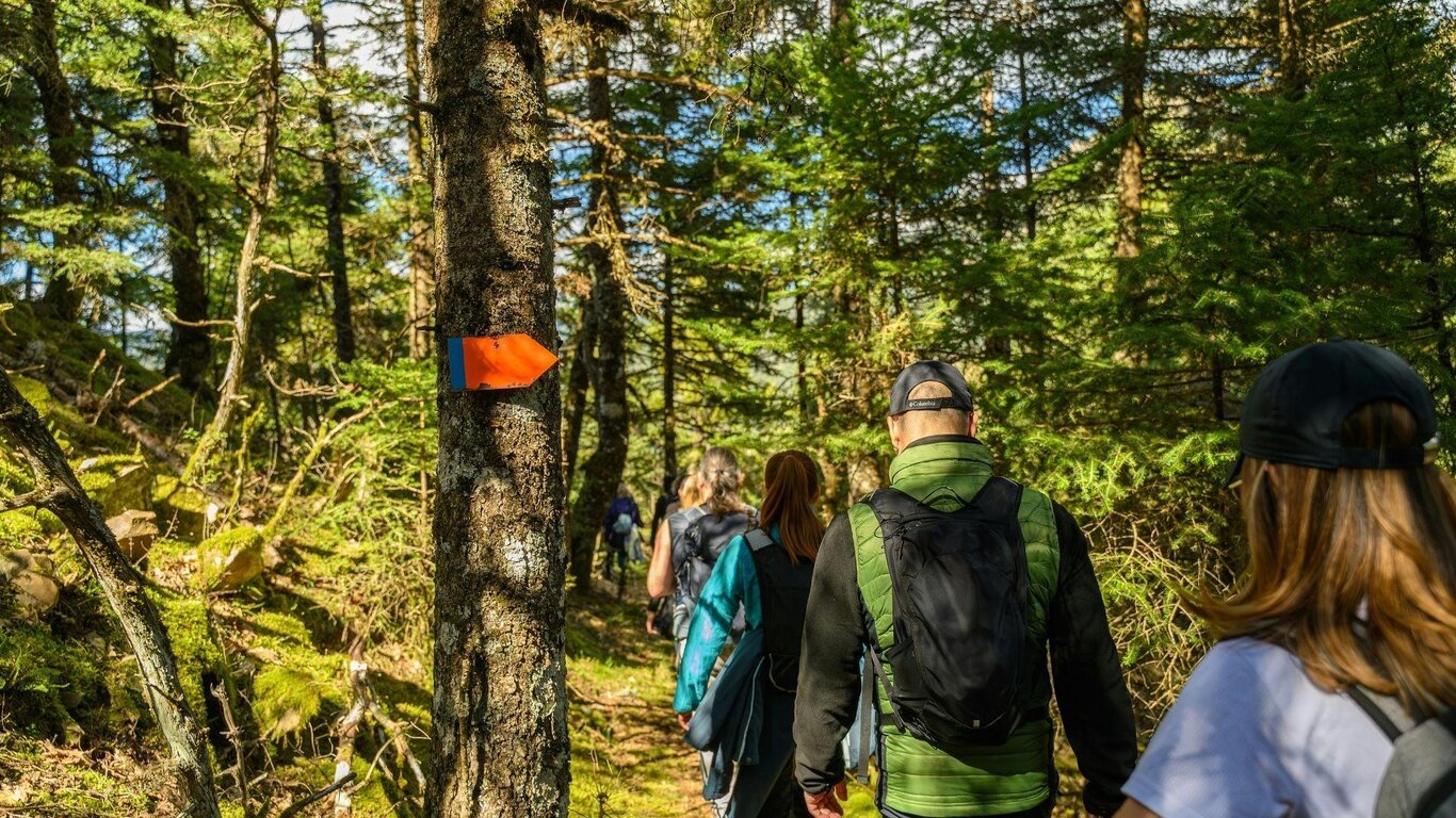 Sul troi de le Vane, passi che uniscono