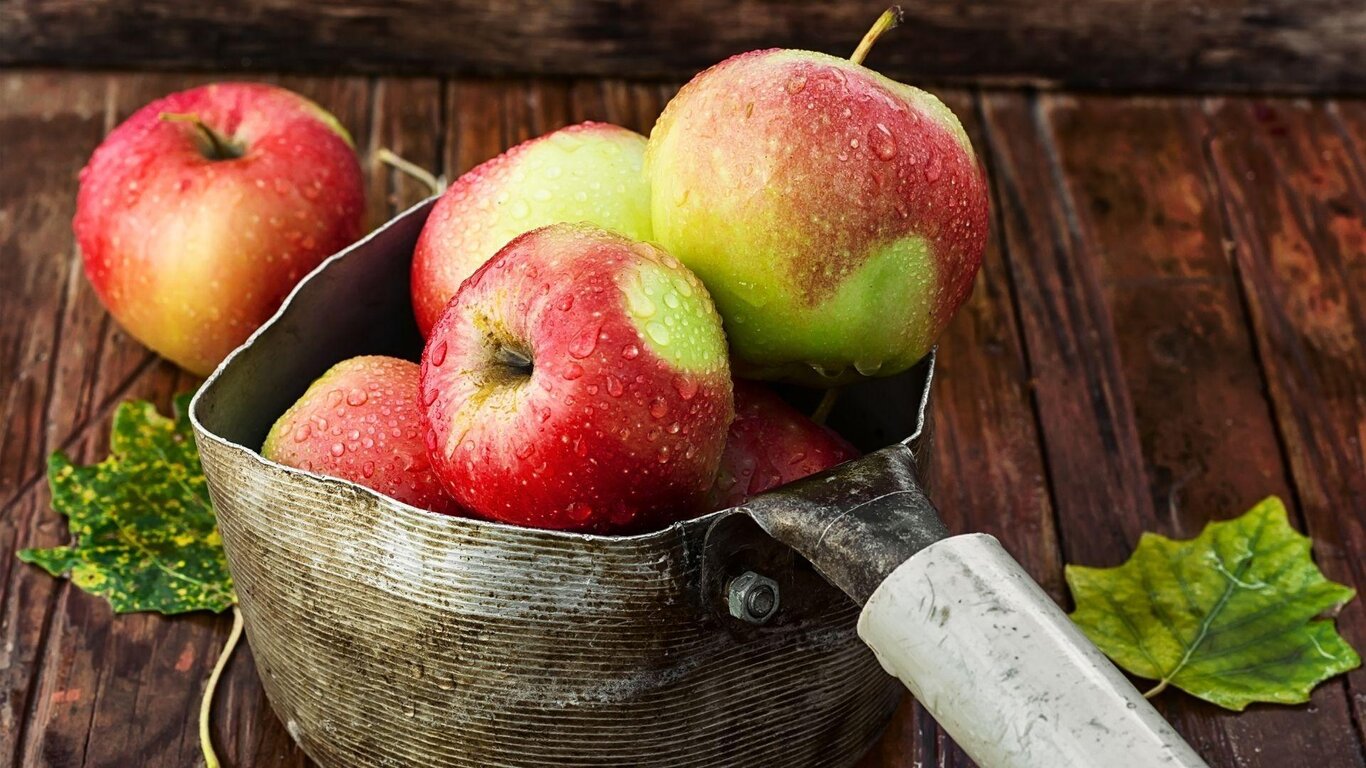 Apple tasting