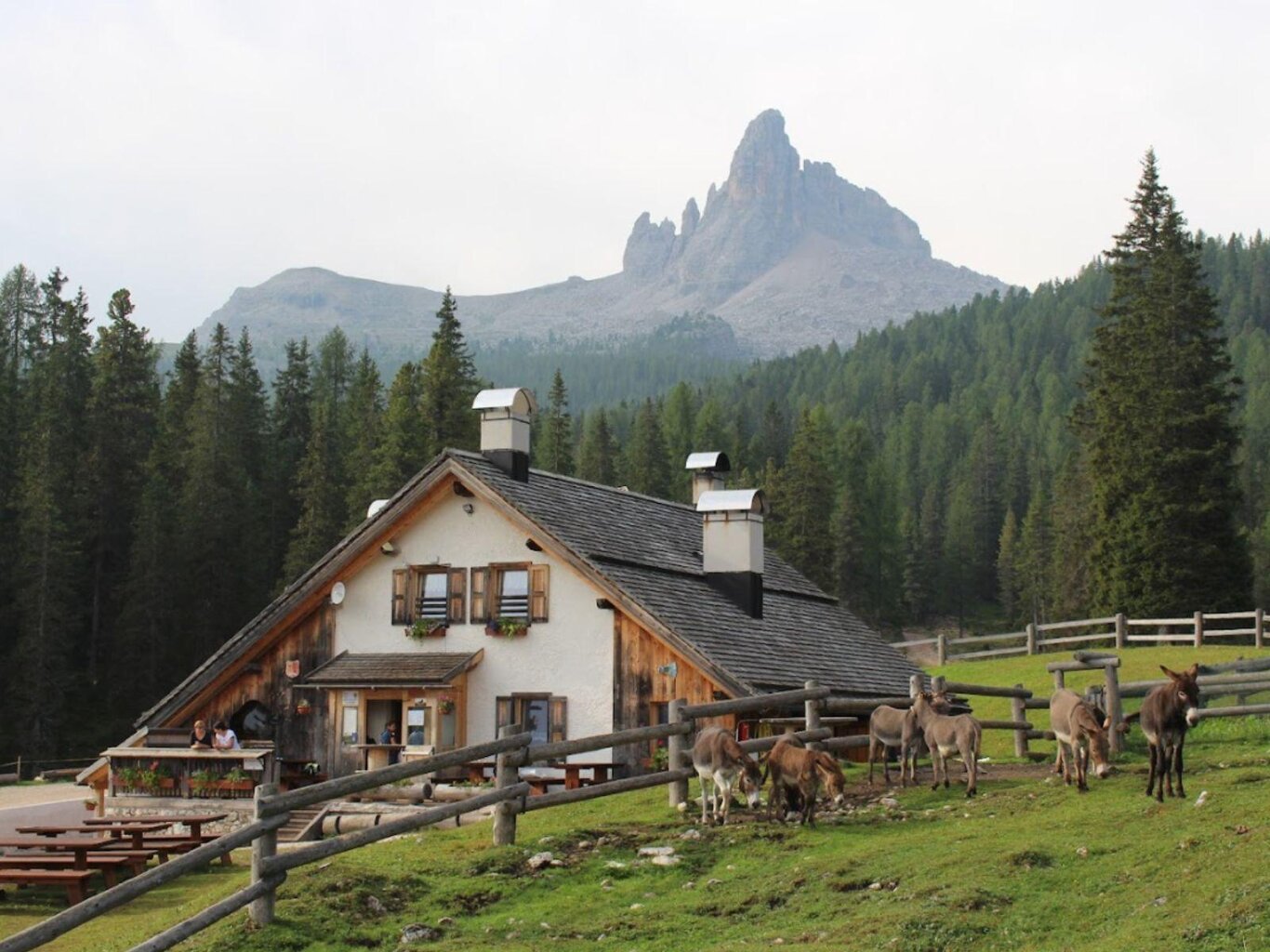 Trekking Alpino Estivo