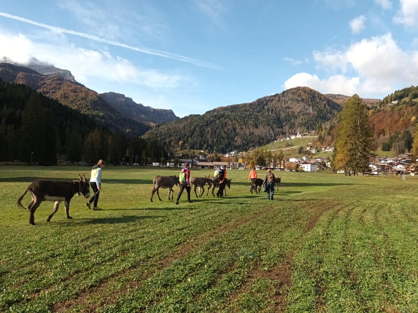 Trekking con gli asini