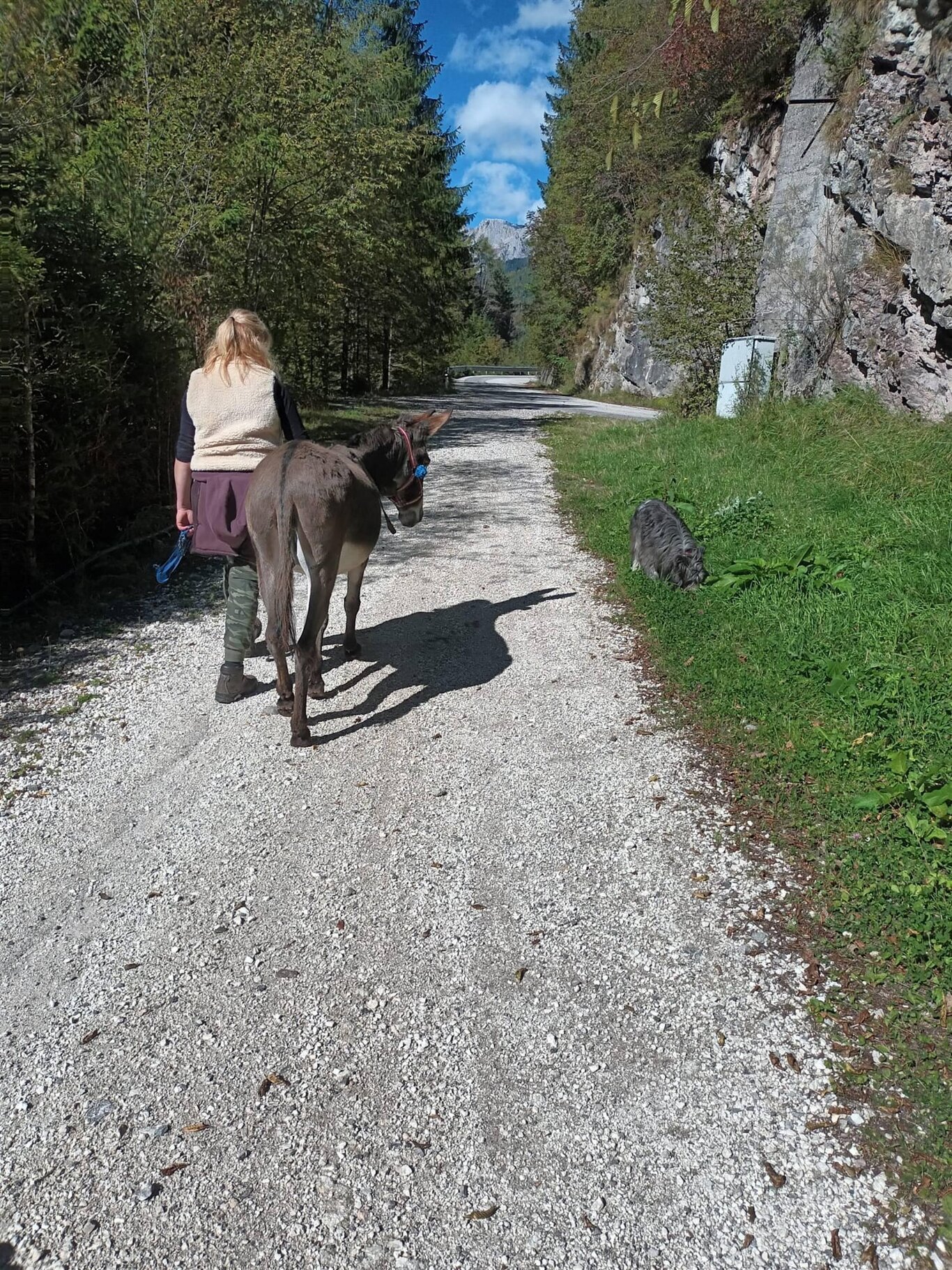 Trekking con gli asini