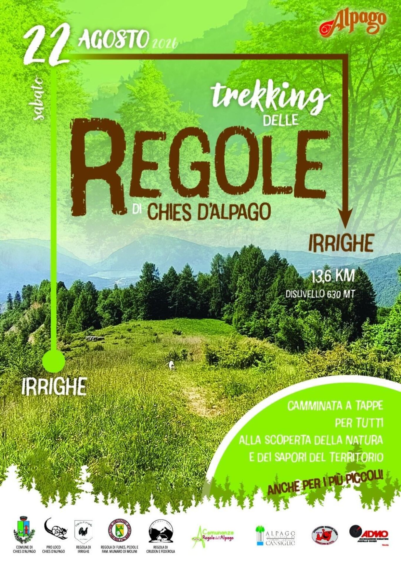 Trekking nei boschi antichi dell'Alpago