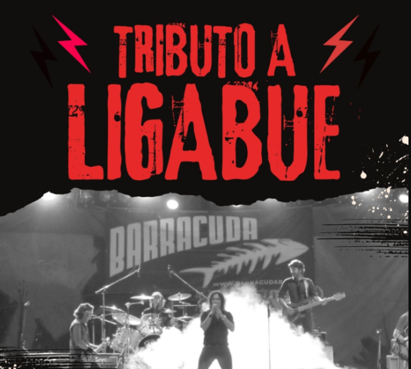 Tributo a Ligabue