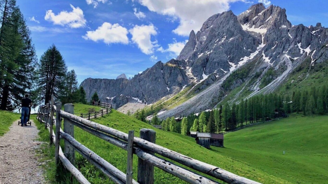 immagine immagine