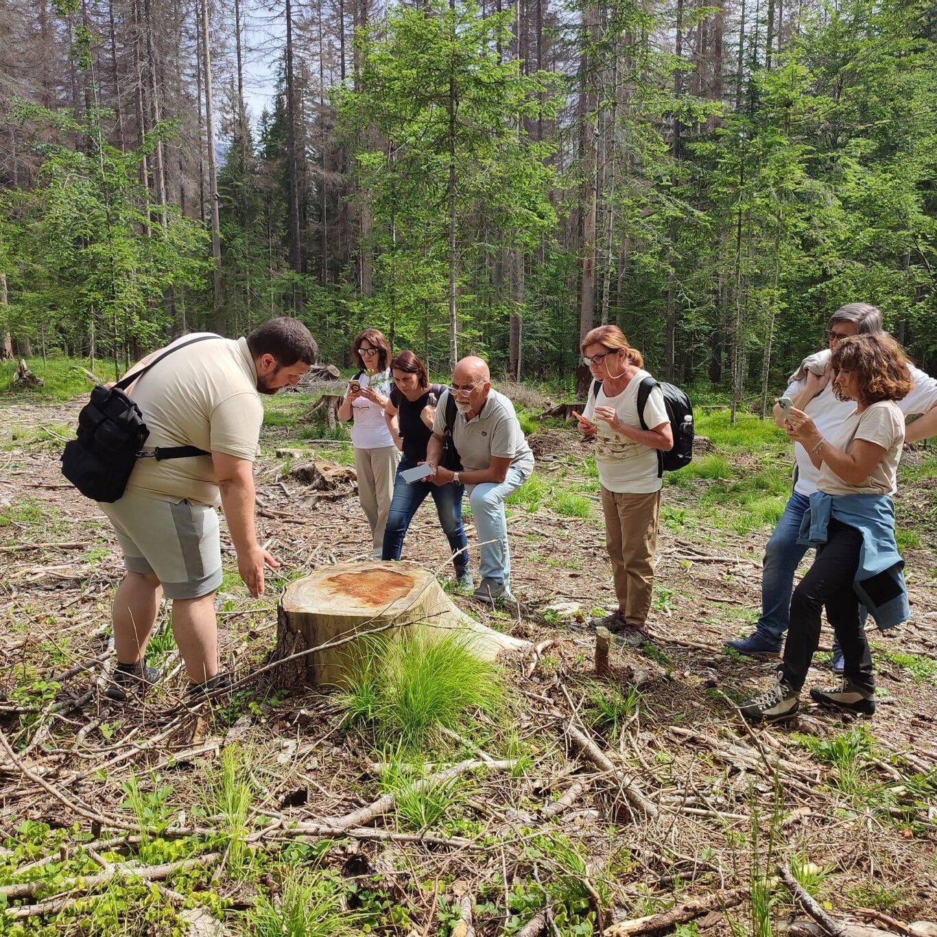 Visita guidata e gratuita alla Foresta di Somadida