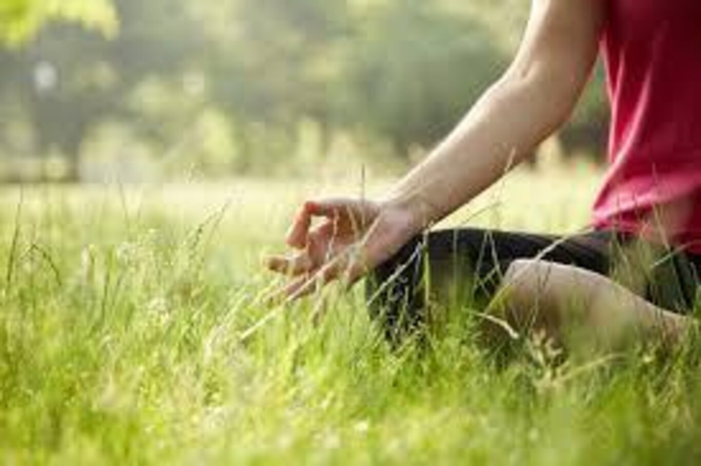 Yoga per principianti