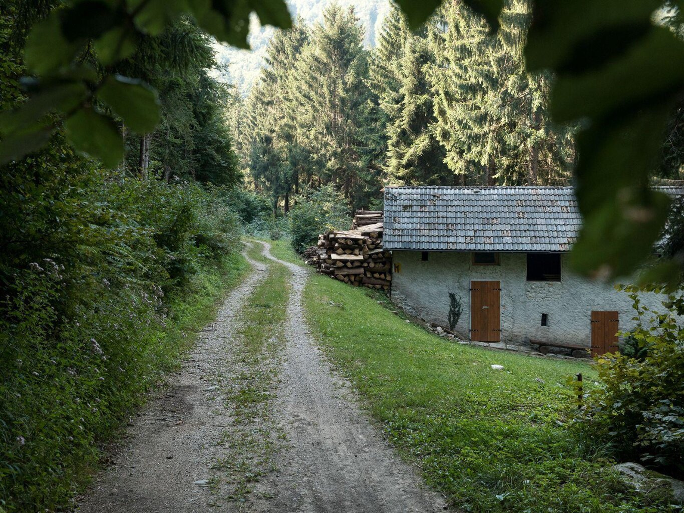 Zelant Trail Experience