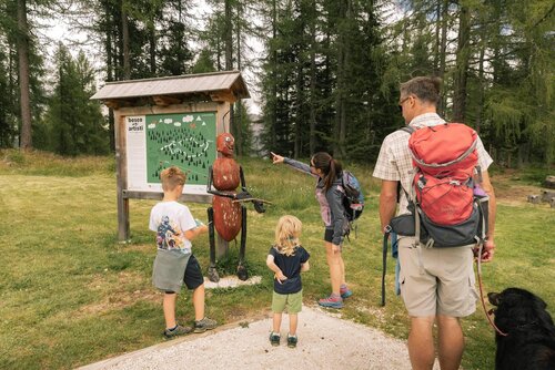 Auf der JAGD NACH NATUR IM WALD DER KÜNSTLER