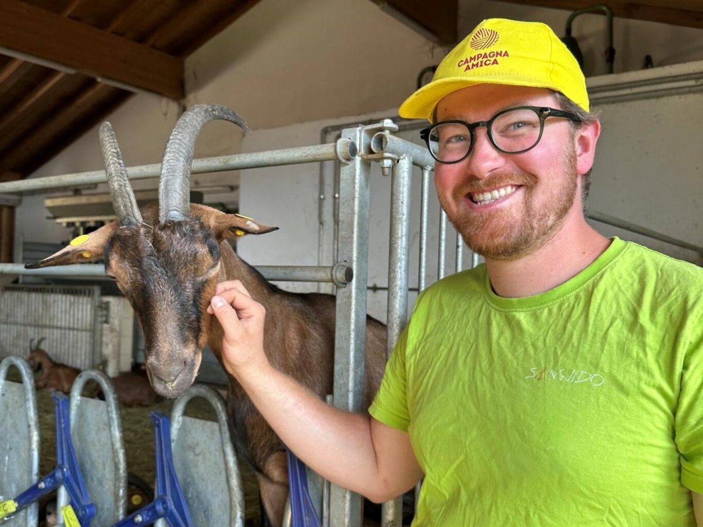 Alla scoperta della capra!