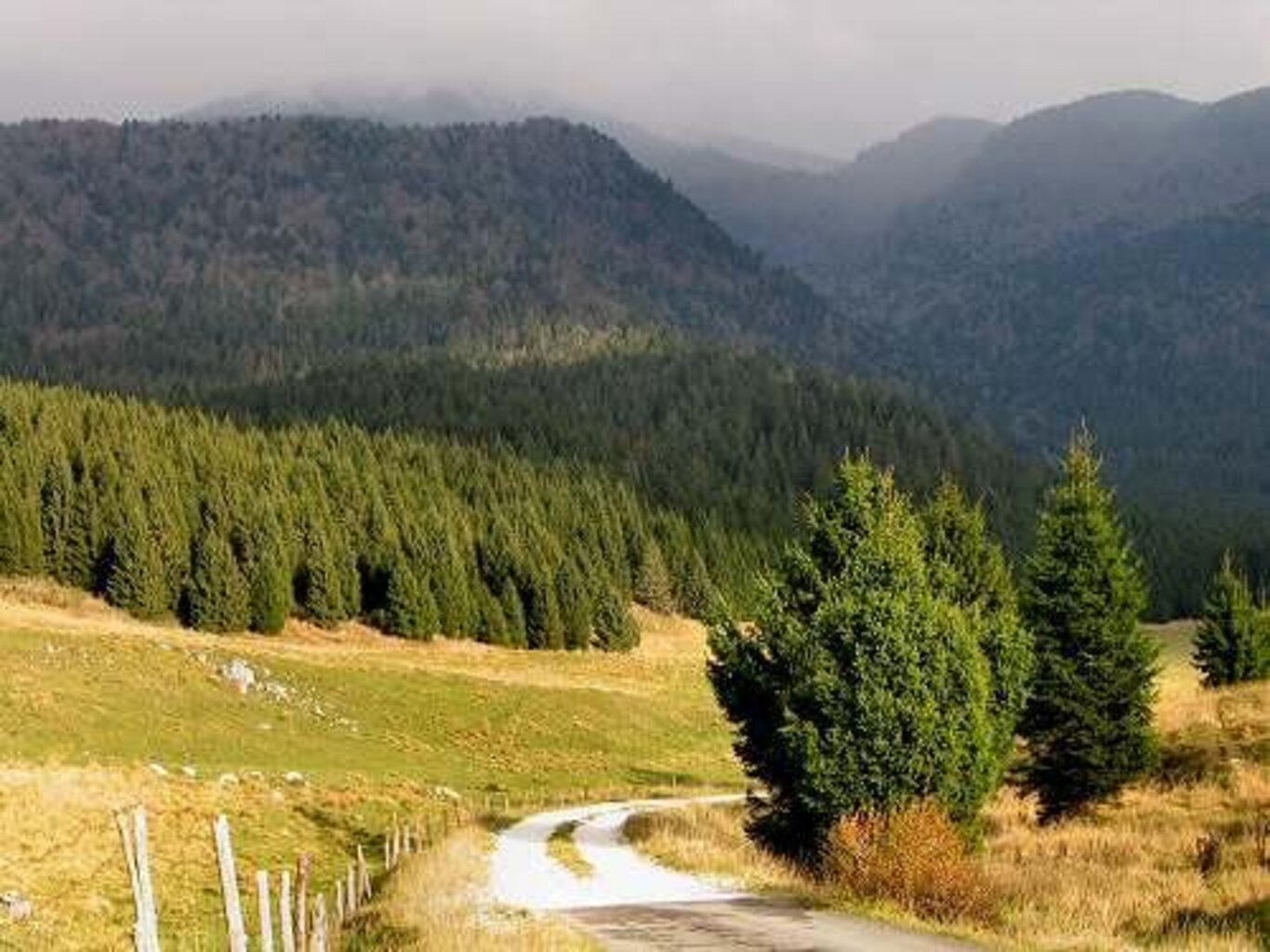 Riserva Pian di Landro