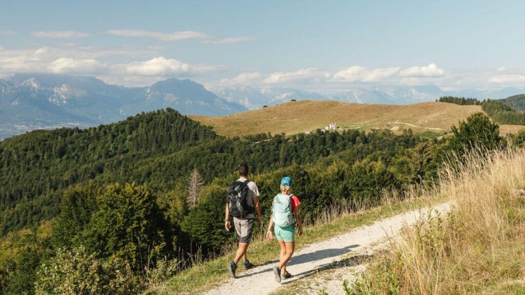 Sentiero 2310 1 Sentiero 2310 1