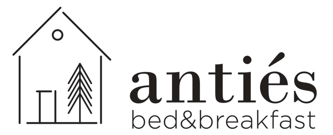 Logo_Anties_def (1) Logo_Anties_def (1)