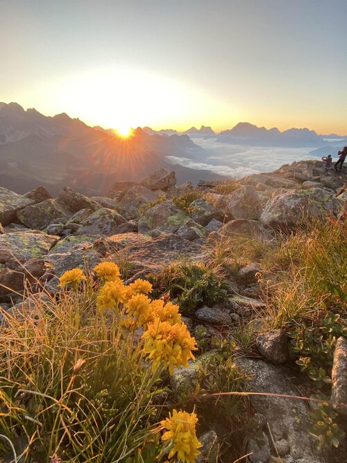 APP. ALPEN GARTEN