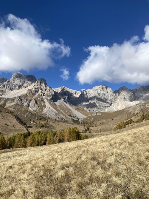 APP. ALPEN GARTEN